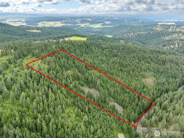 19960 + 19970 N Mt Spokane Park Dr, Mead, WA 99021