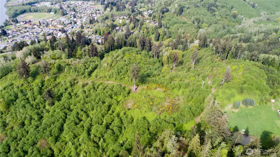 1111 Washington Cemetery Road, Raymond, WA 98577 - #3