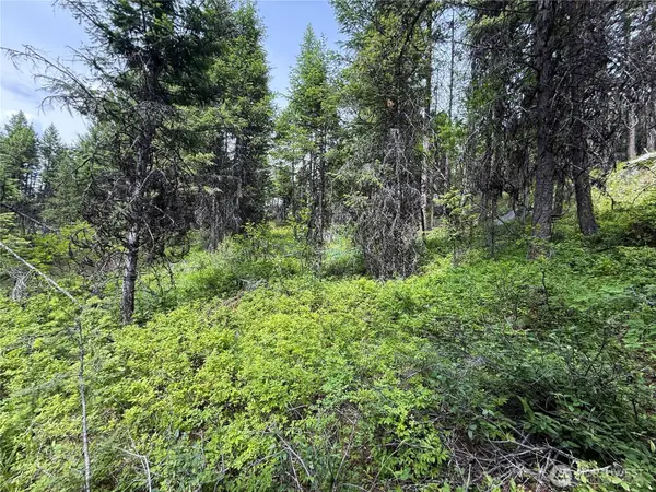 0 Mule Deer Road, Republic, WA 99166
