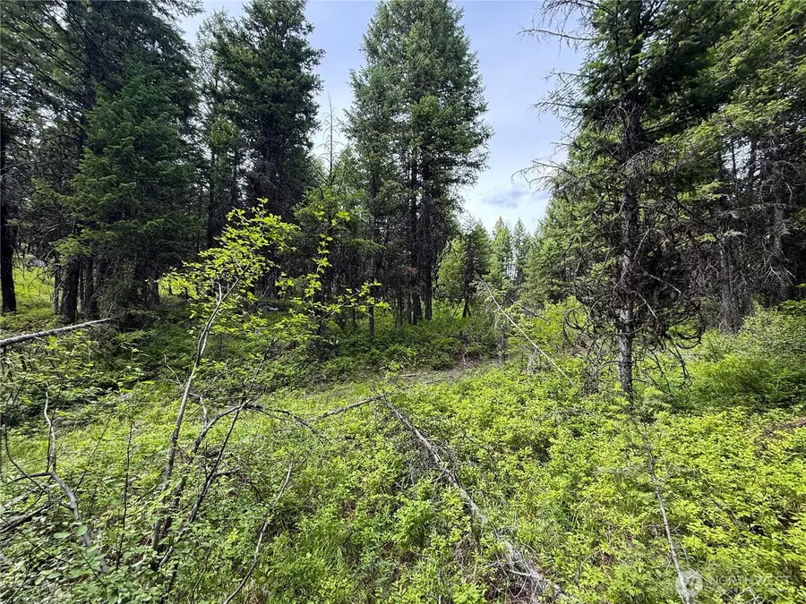 0 Mule Deer, Republic, WA 99166 - #3