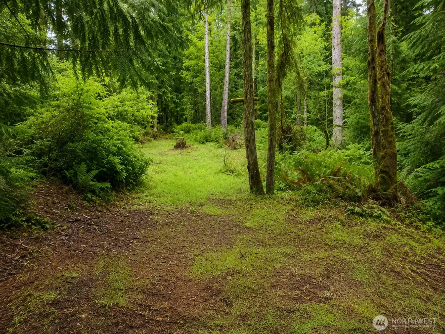 22 Xx E South Island Dr, Shelton, WA 98584 - #3