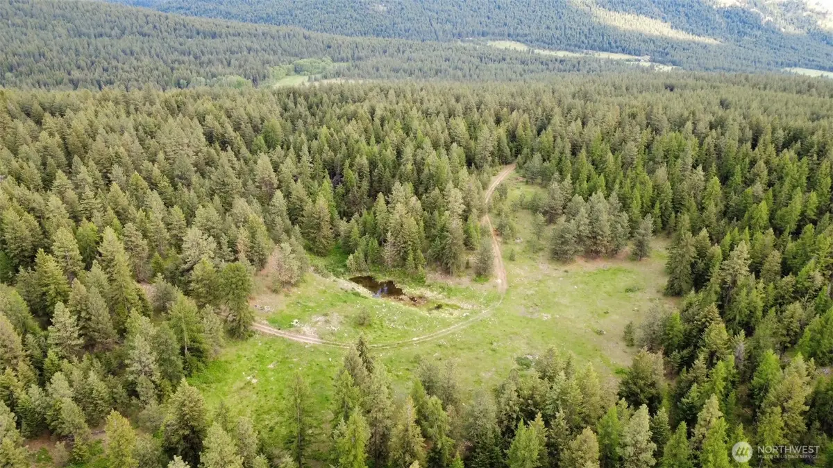 0 Tbd Blue Meadow Rd, Tonasket, WA 98855 - #1