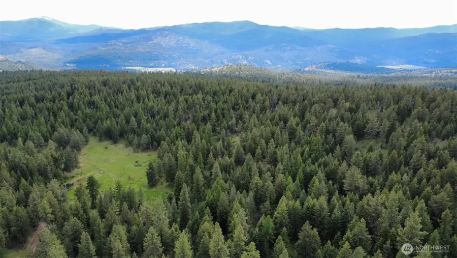 0 Tbd Blue Meadow Rd, Tonasket, WA 98855 - #2