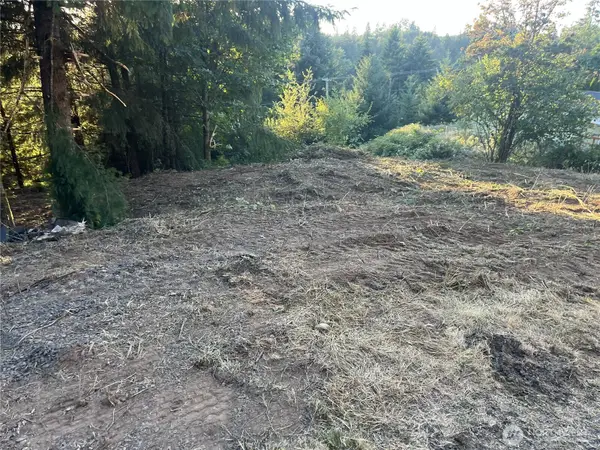 0 NE Jabez Street, Winlock, WA 98596