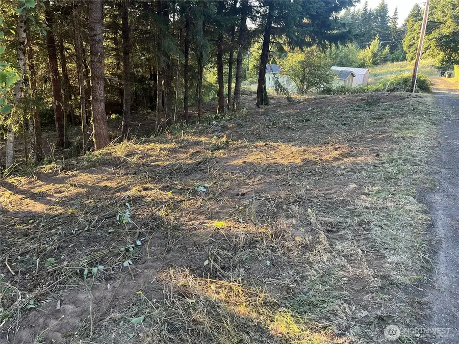 0 NE Jabez Street, Winlock, WA 98596 - #3
