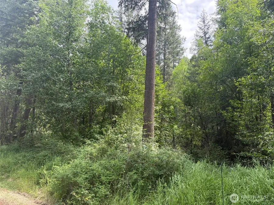 111 Lambert Creek Road, Republic, WA 99166 - #2