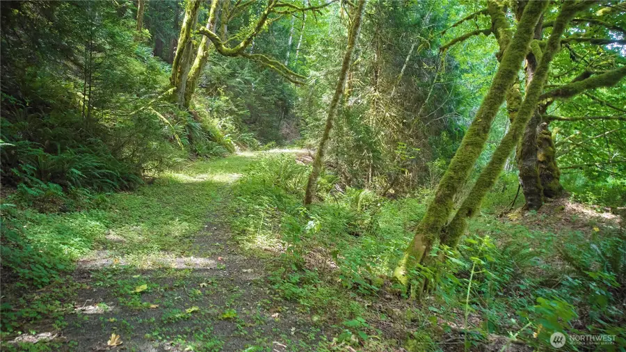 591 Casera Drive #Lot  6, Quilcene, WA 98376 - #2