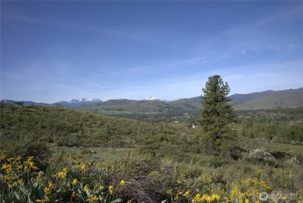 42 Prospect Road #TAX 3 PT LOT 18, Winthrop, WA 98862