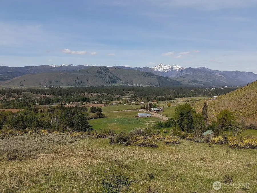 42 Prospect Road #TAX 3 PT LOT 18, Winthrop, WA 98862 - #2