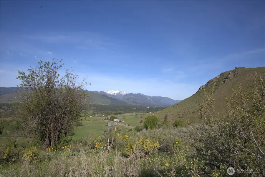 42 Prospect Road #TAX 3 PT LOT 18, Winthrop, WA 98862 - #3