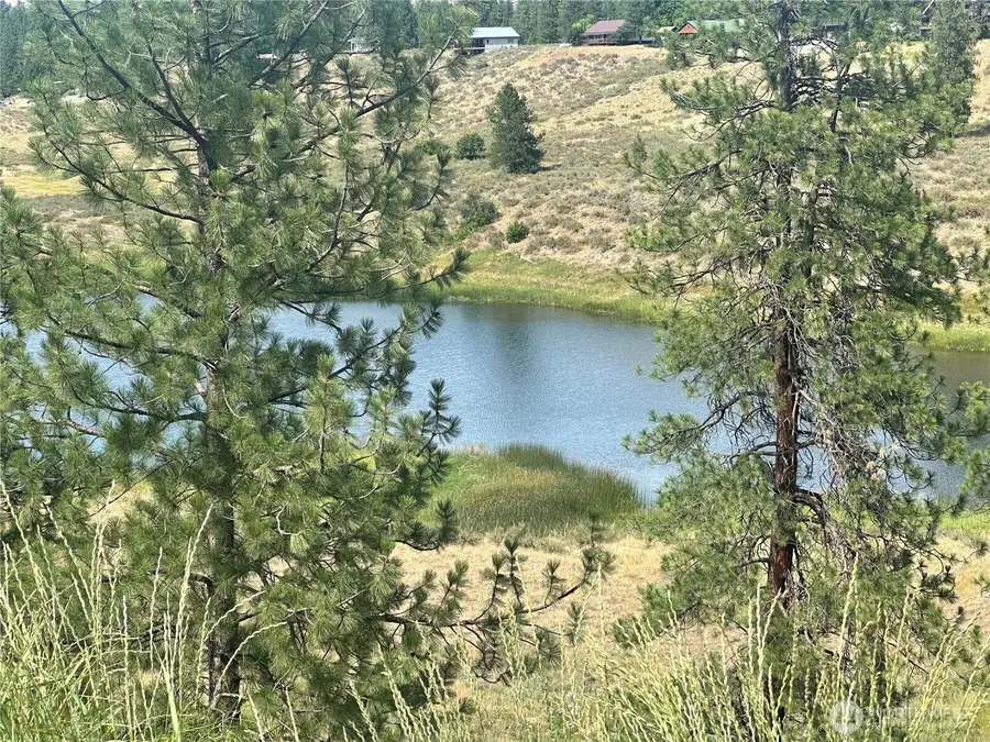67 Larkspur Drive #58, Winthrop, WA 98862 - #2