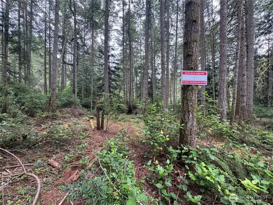 11308 114th Street Ct #115, Anderson Island, WA 98303 - #3
