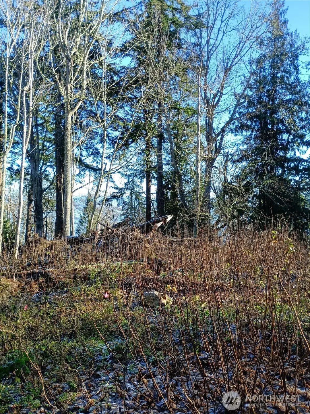49 Tulalip Way, Hat Island, WA 98206 - #1