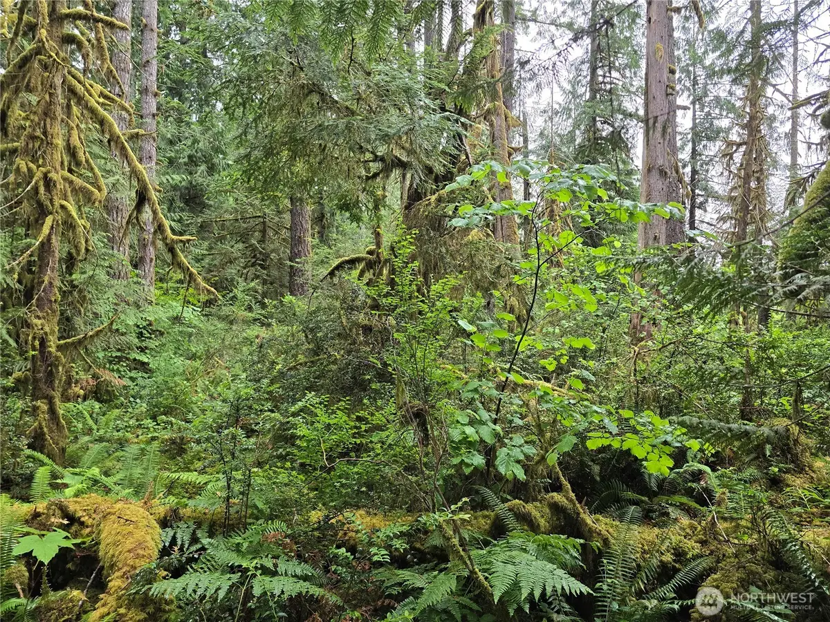 123 N Us Highway 101, Shelton, WA 98584 - #1