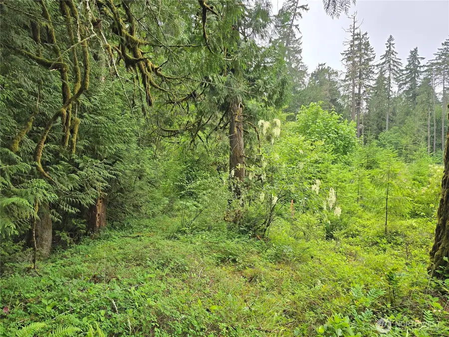 123 N Us Highway 101, Shelton, WA 98584 - #2