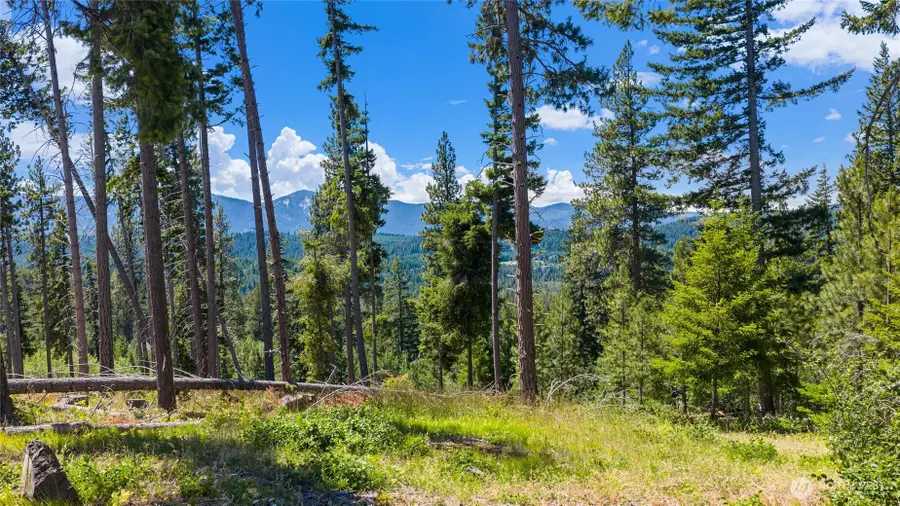 4 Red Sky Way #4, Cle Elum, WA 98922 - #3