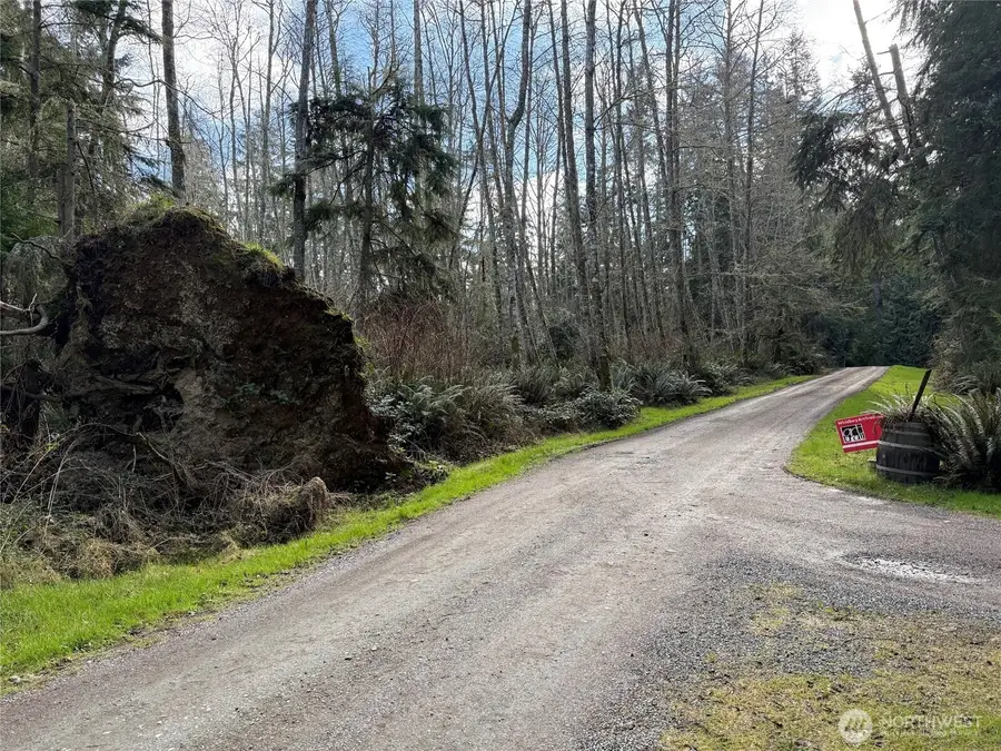 1 Christenson Road #Parcel ending 5040 & 4810, Greenbank, WA 98239 - #2