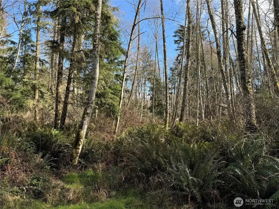 1 Christenson Road #Parcel ending 5040 & 4810, Greenbank, WA 98239 - #3