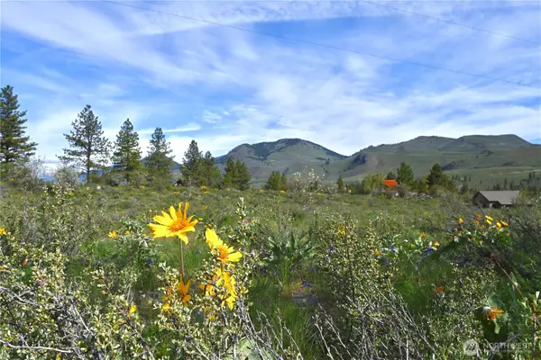 0 Green Meadows #10, Winthrop, WA 98862