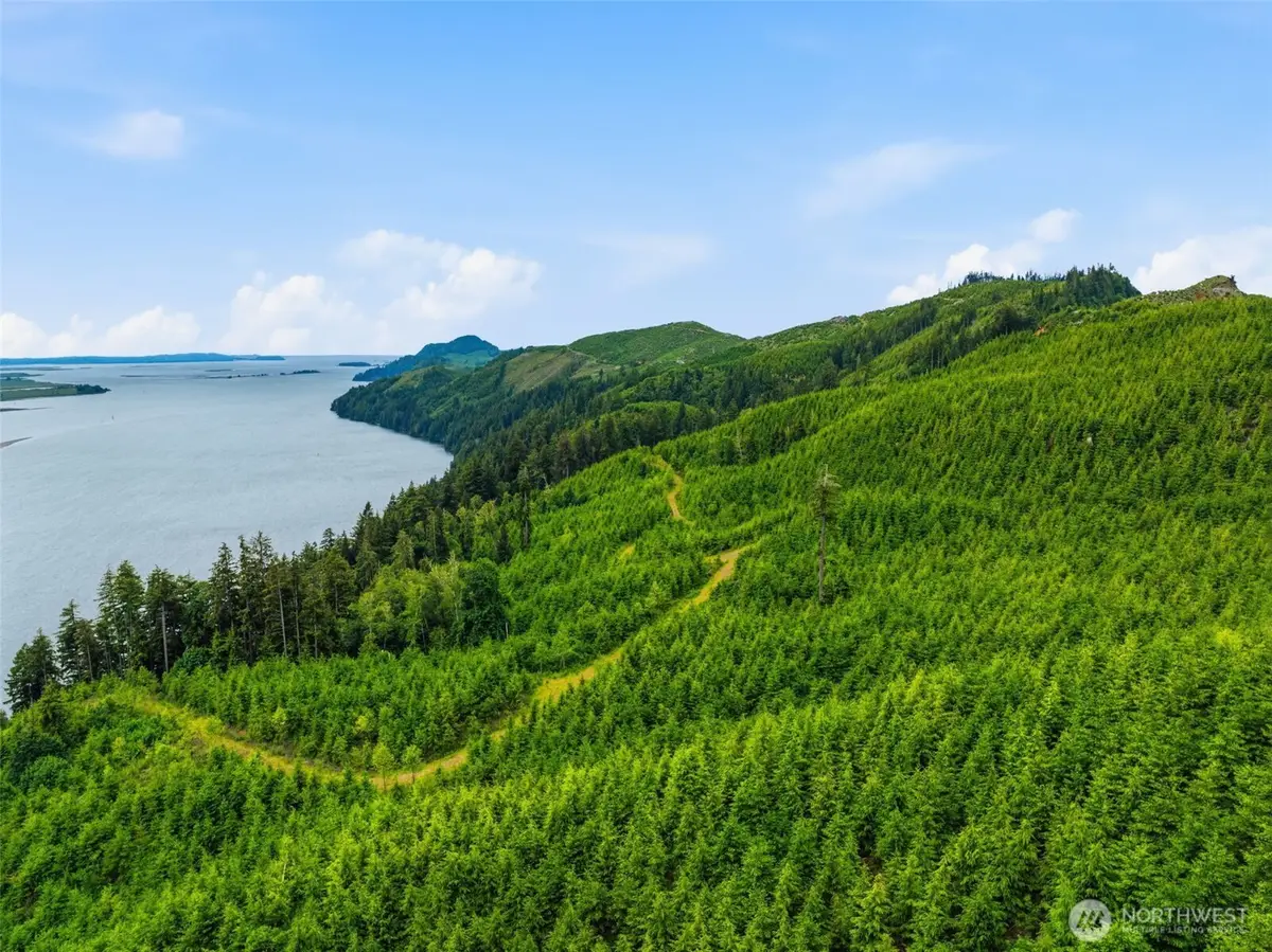0 State Route 4 Highway, Skamokawa, WA 98647 - #1
