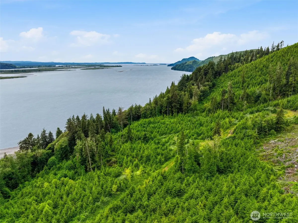 0 State Route 4 Highway, Skamokawa, WA 98674 - #1