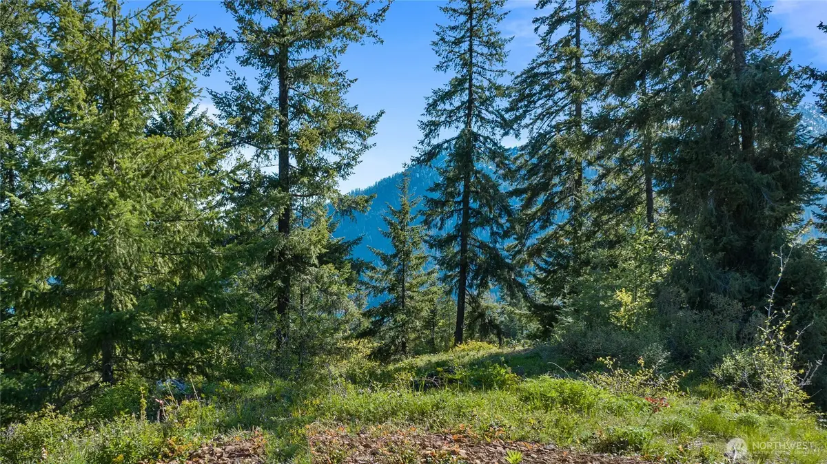 40 Newport Creek Loop #4, Ronald, WA 98941 - #1