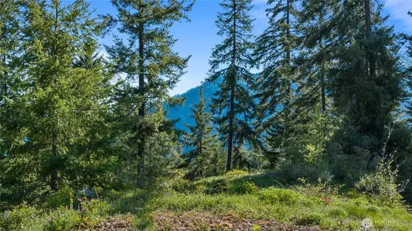 40 Newport Creek Loop #4, Ronald, WA 98941