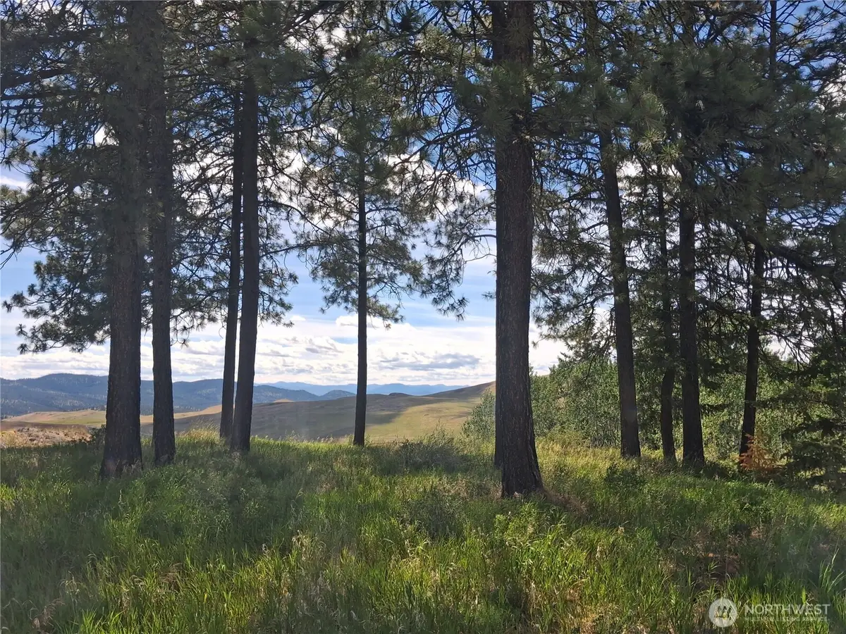 1 Fletcher/rd 225 Road, Oroville, WA 98840 - #1