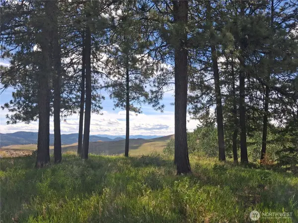 1 Fletcher/rd 225 Road, Oroville, WA 98840