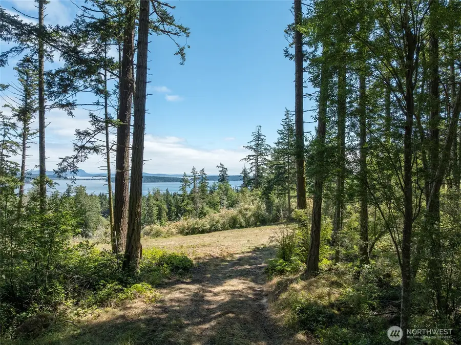 207 Suntides Lane, Lopez Island, WA 98261 - #2