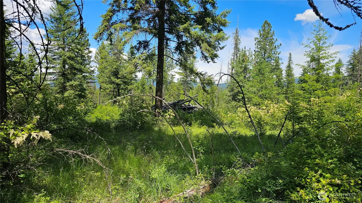 432 Bussard Lake Road, Loon Lake, WA 99148 - #1