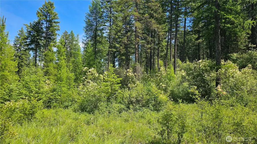 432 Bussard Lake Road, Loon Lake, WA 99148 - #2