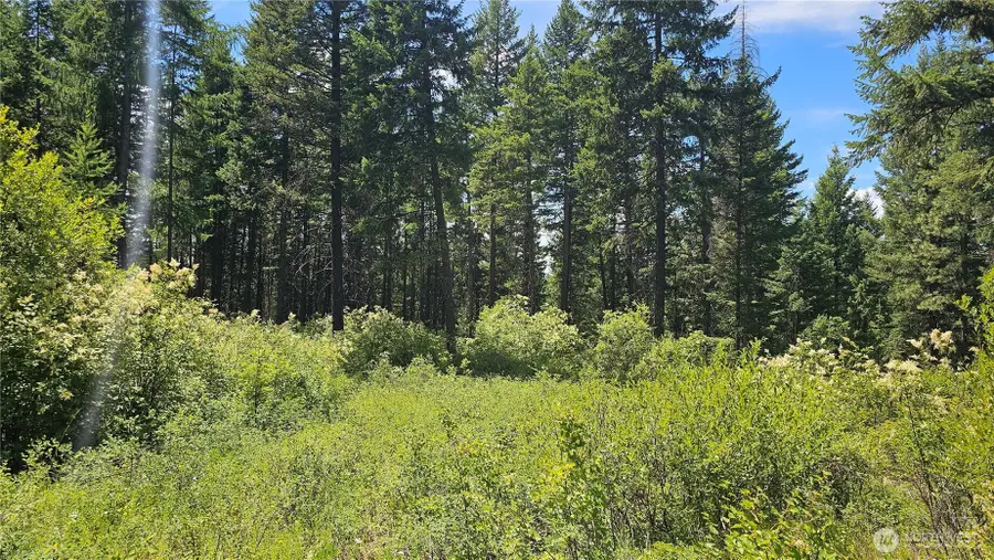 432 Bussard Lake Road, Loon Lake, WA 99148 - #3