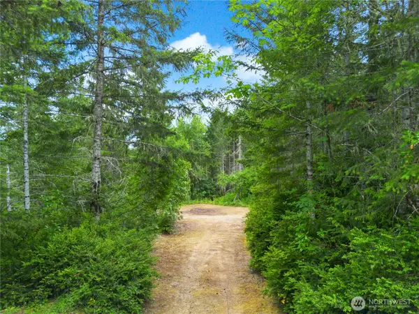 0 Rustic Ridge Drive #4, Lilliwaup, WA 98555