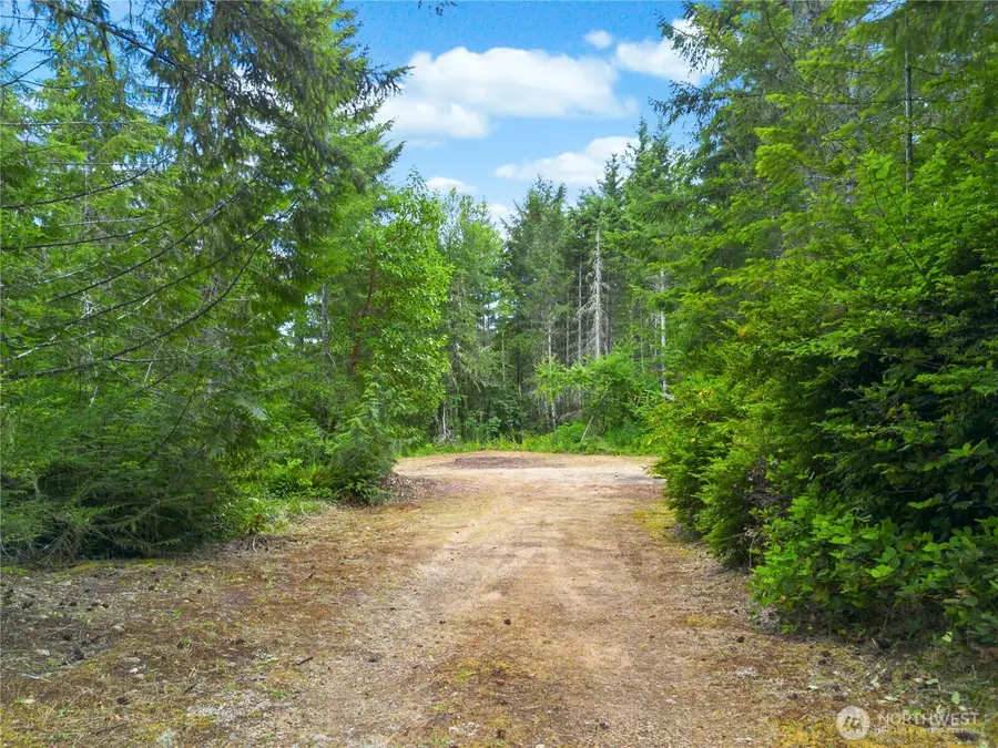 0 Rustic Ridge Drive #4, Lilliwaup, WA 98555 - #3