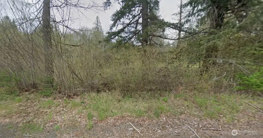 5 W Xxx Cloquallum Road, Shelton, WA 98584 - #3