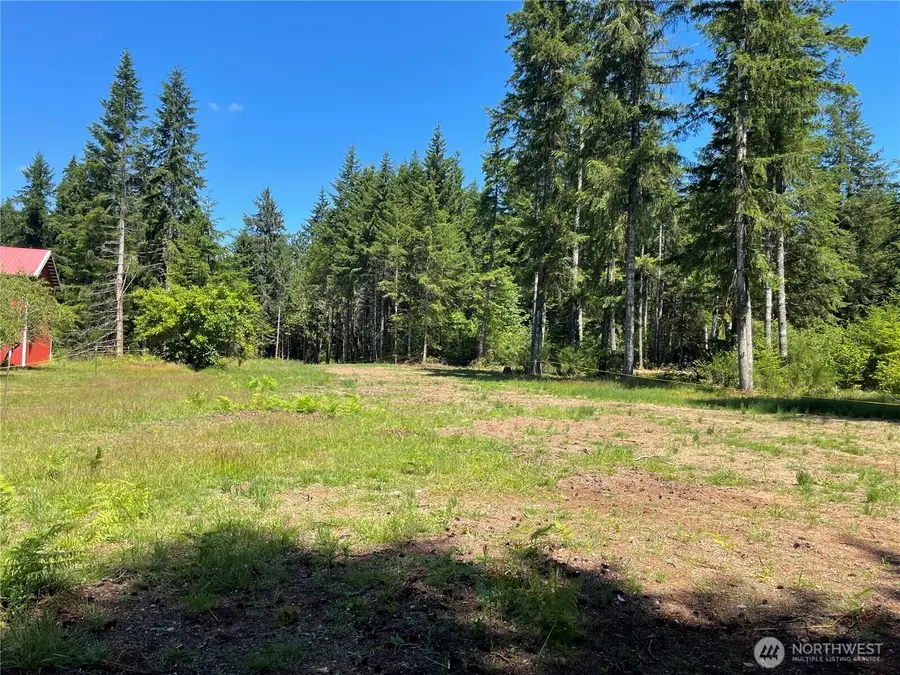 0 Lynch Road #3, McCleary, WA 98557 - #3