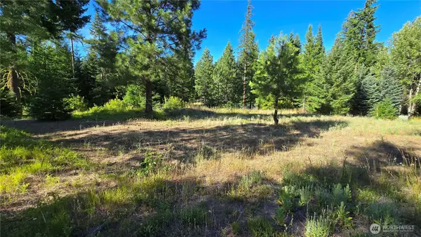 3 -lots Westside Rd, Cle Elum, WA 98922