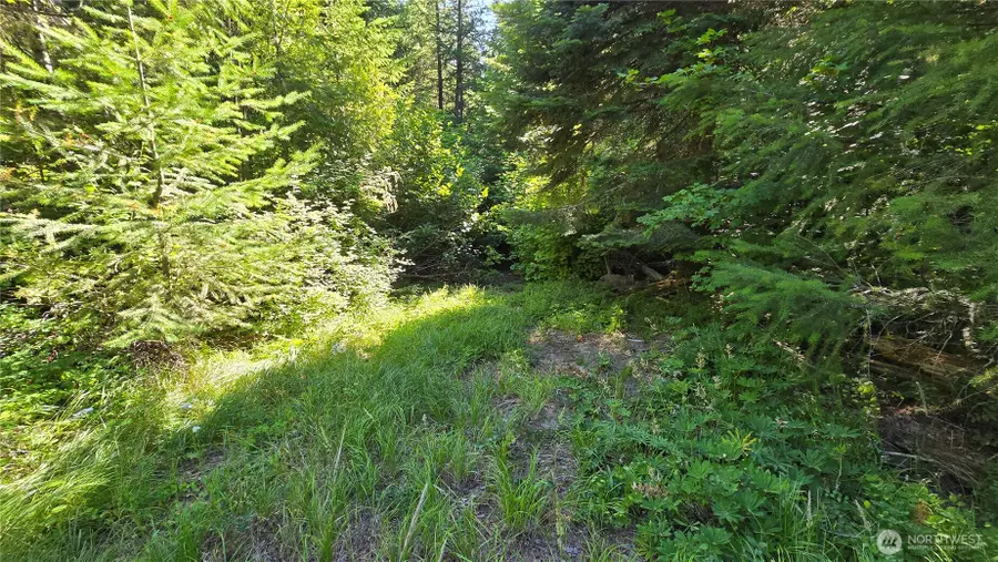 3 -lots Westside Rd, Cle Elum, WA 98922 - #3