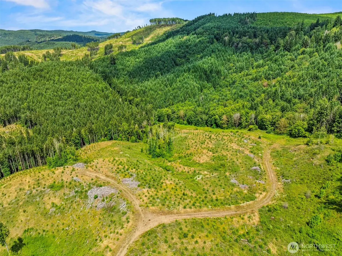 0 Holcomb Road, Kelso, WA 98626 - #1