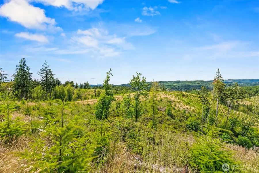 0 Holcomb Road #Lot C, Kelso, WA 98626 - #3