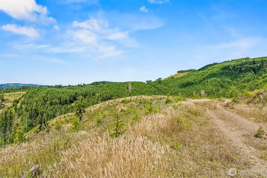 0 Holcomb Road, Longview Kelso, WA 98632 - #3