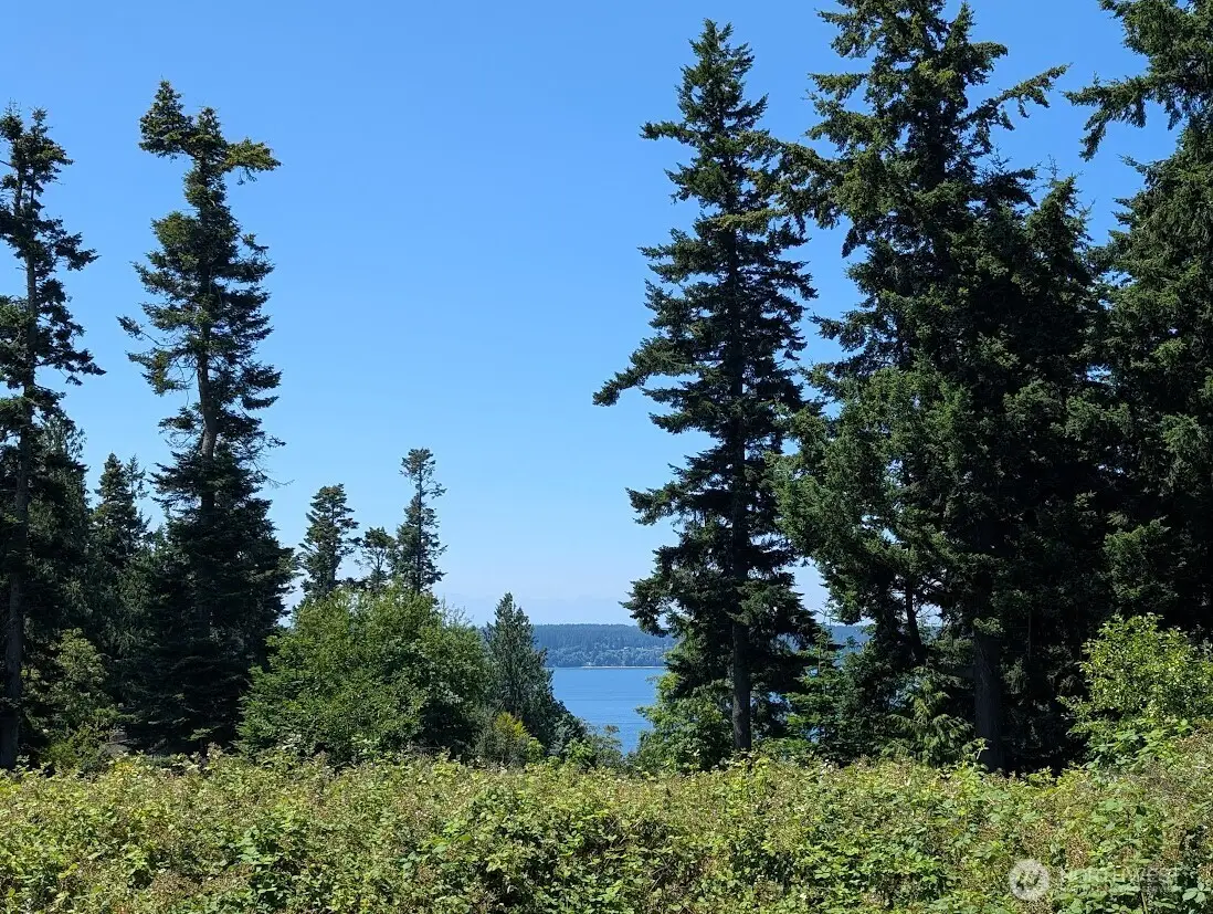 4400 S Camano Drive, Camano Island, WA 98282 - #1