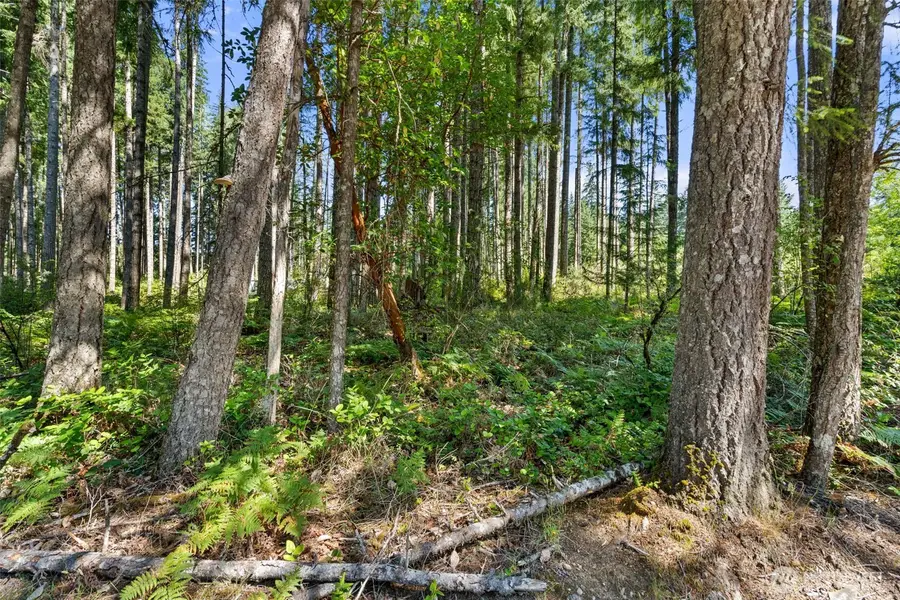 1030 E Phillips Lake Road, Shelton, WA 98584 - #2