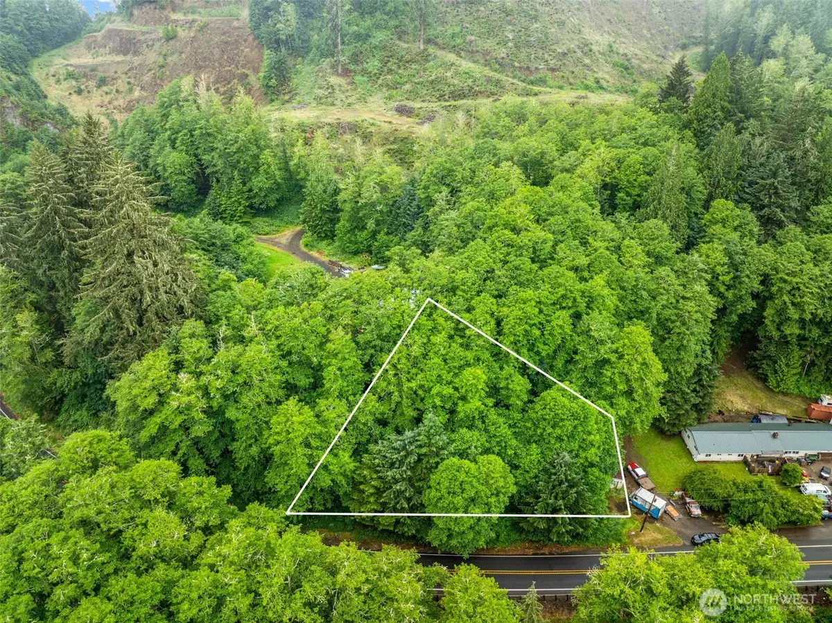 1503 W State Route 4, Skamokawa, WA 98647 - #1