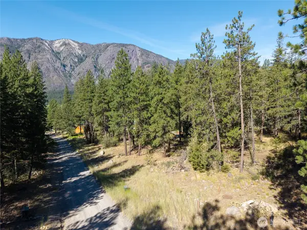 16 Highland Meadow Road #Lot 439 & 451, Winthrop, WA 98862