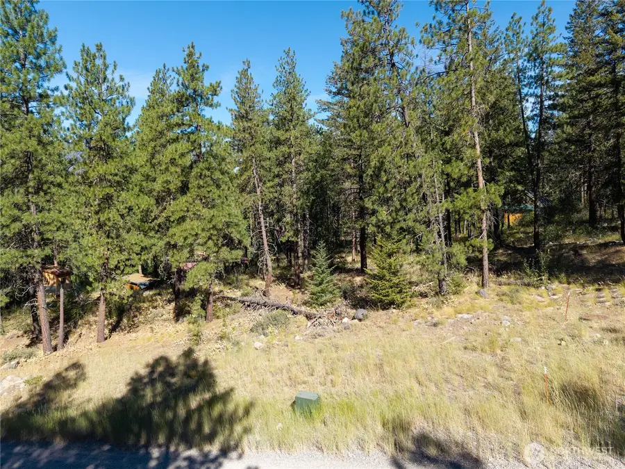 16 Highland Meadow Road #Lot 439 & 451, Winthrop, WA 98862 - #3