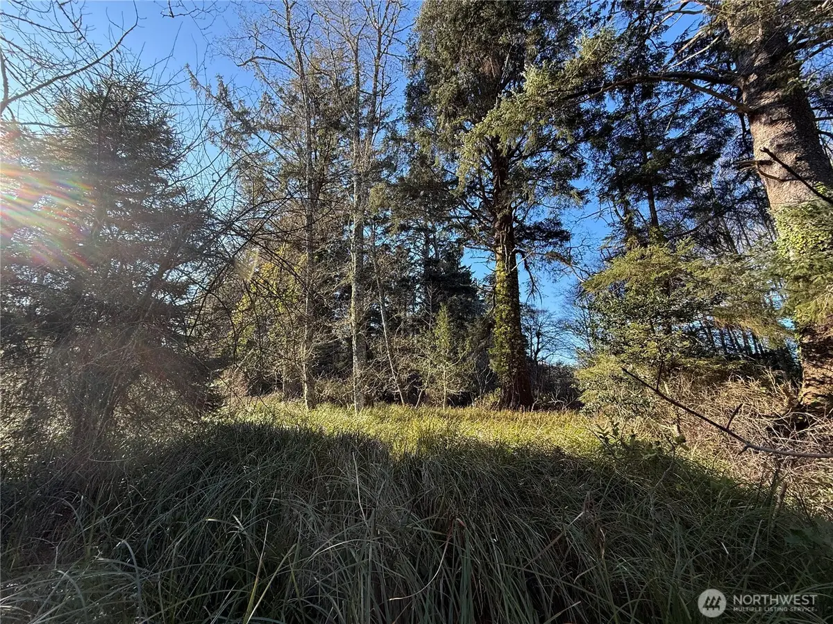 27399 Sandridge Road, Ocean Park, WA 98640 - #1
