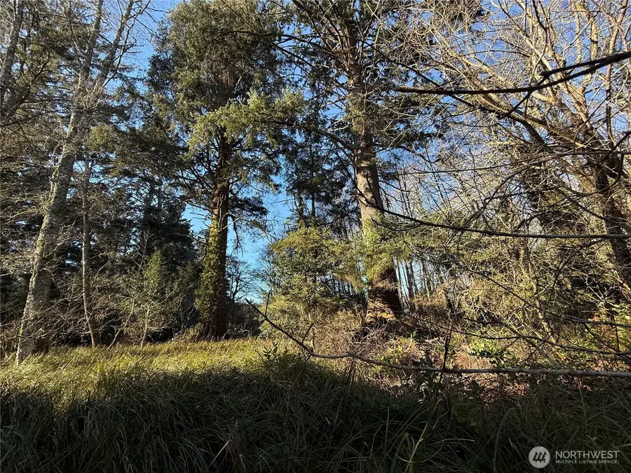 27399 Sandridge Road, Ocean Park, WA 98640 - #3