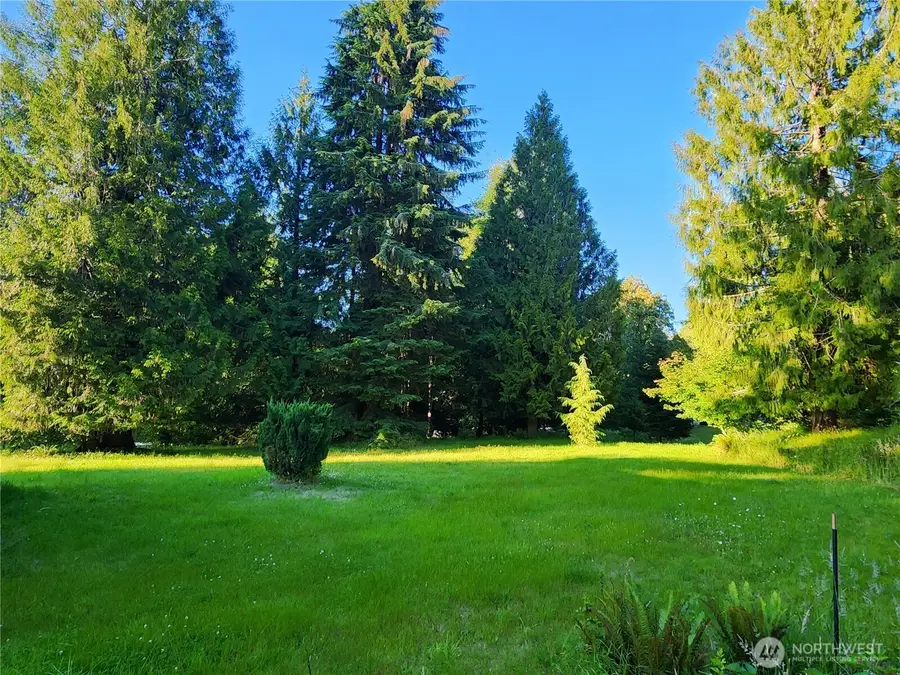 234 Markum Lane, Winlock, WA 98596 - #3
